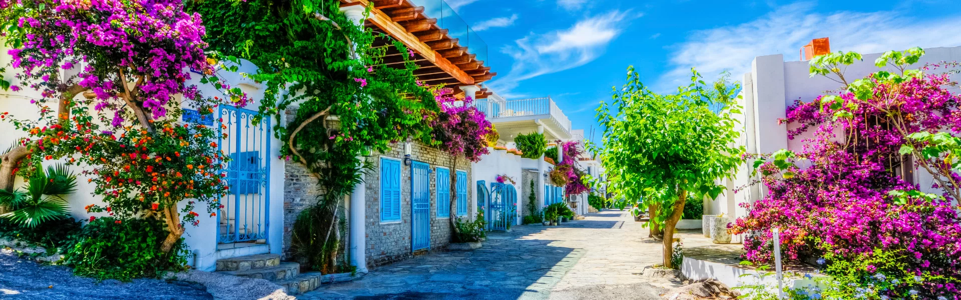 Bodrum Bazaar